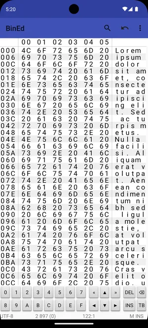 BinEd  BinaryHex Editor